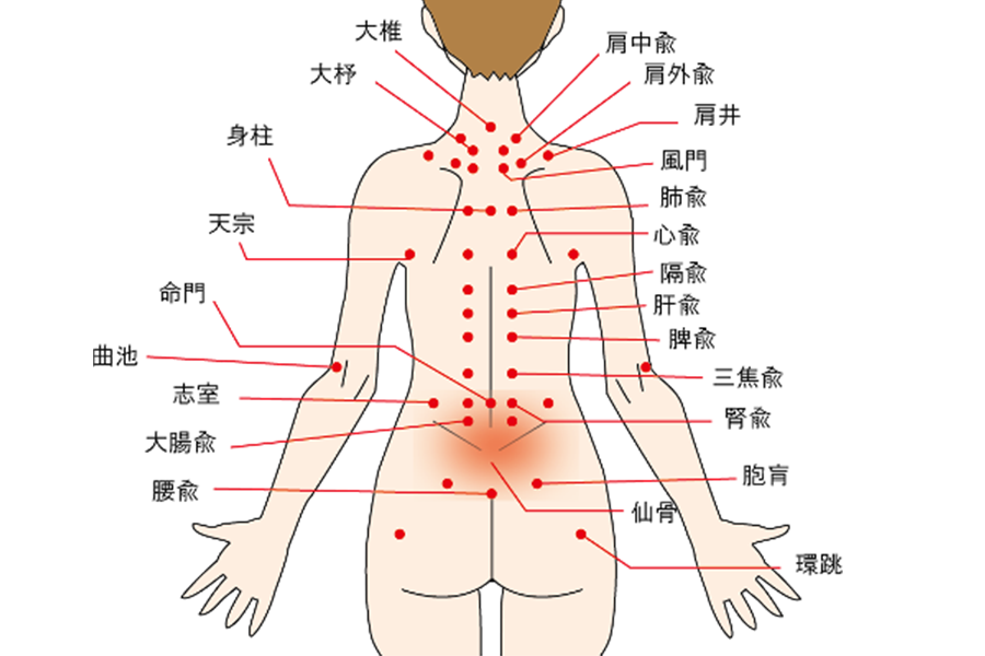 東洋医学アプローチを行います