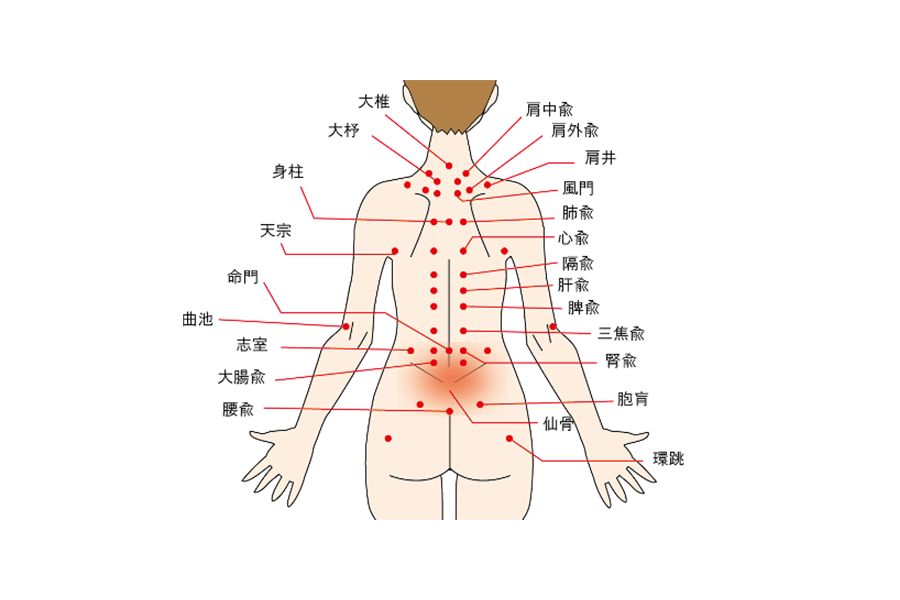 東洋医学アプローチを行います